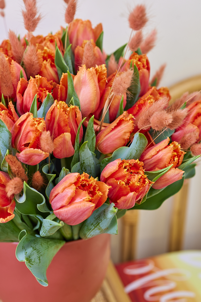 پیازلاله هلندی (Orange passion )