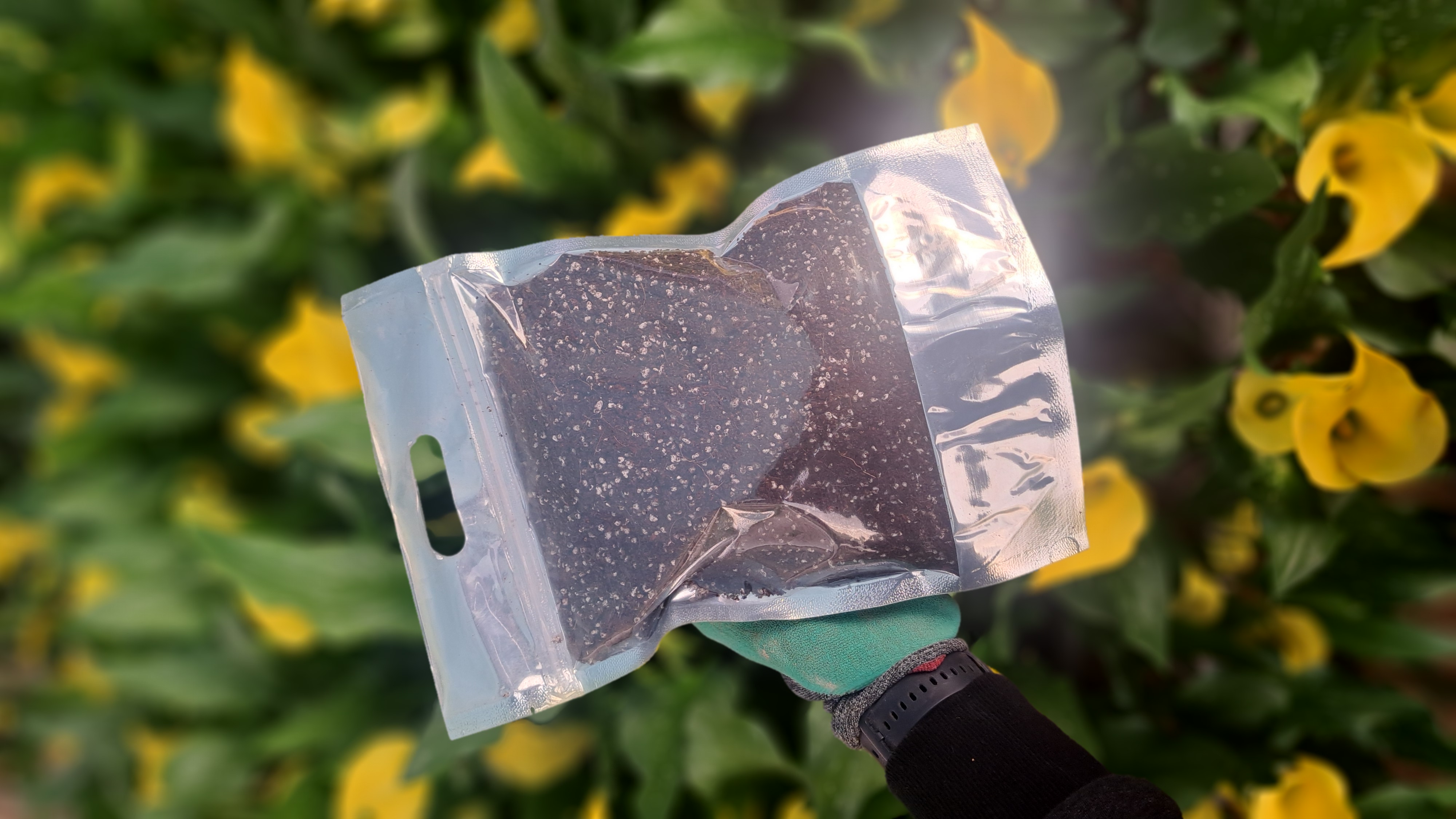 خاک مناسب گیاهان اپارتمانی