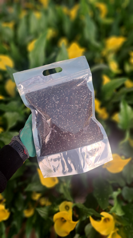 خاک مناسب گیاهان اپارتمانی