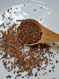 بذرگل بنفشه